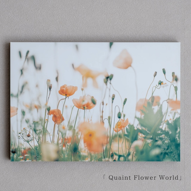 【OPEN記念・数量/期間限定】Quaint Flower World