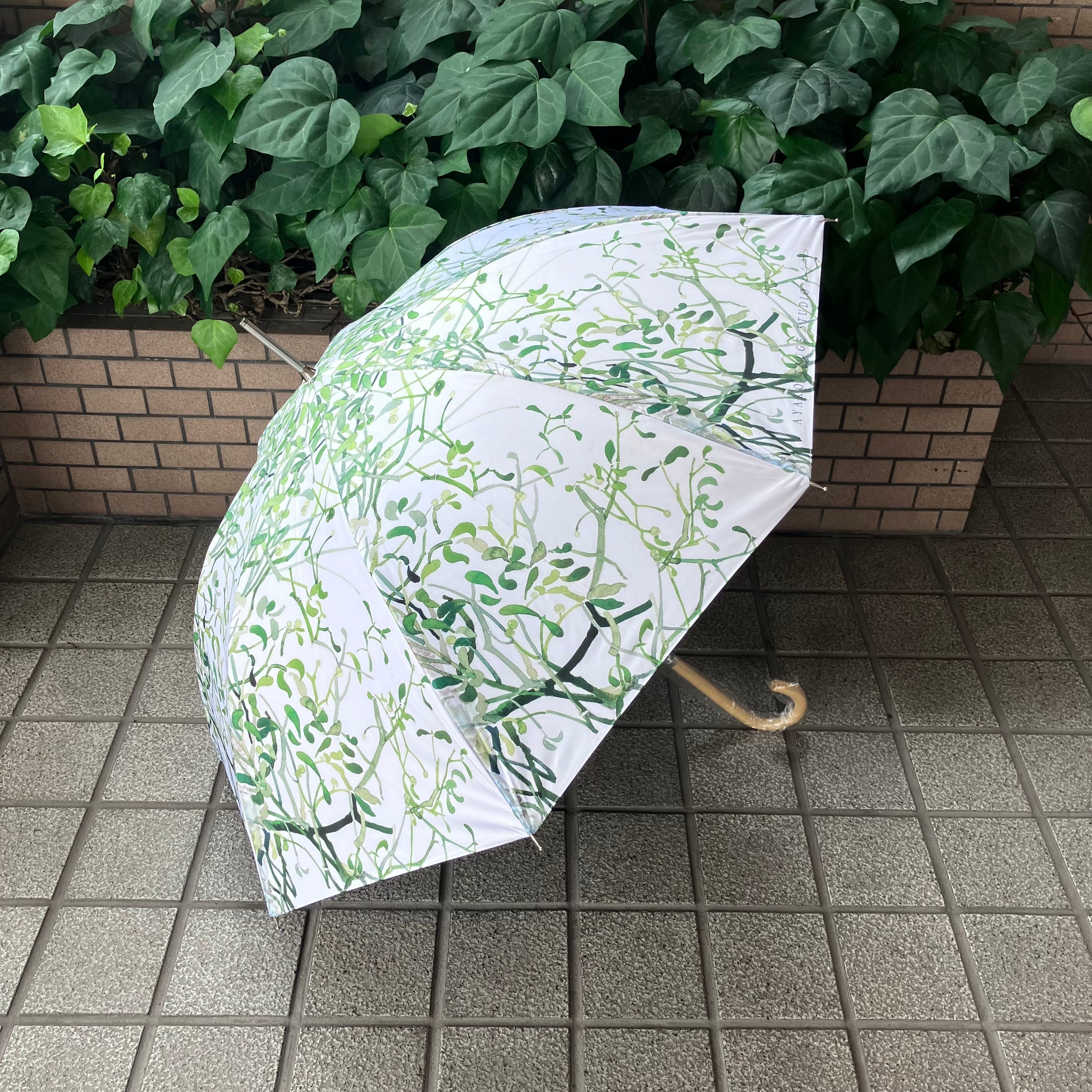 晴雨兼用傘　ヤドリギ　白