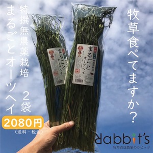 【畑そのまま】まるごと無農薬オーツヘイ50g×2袋