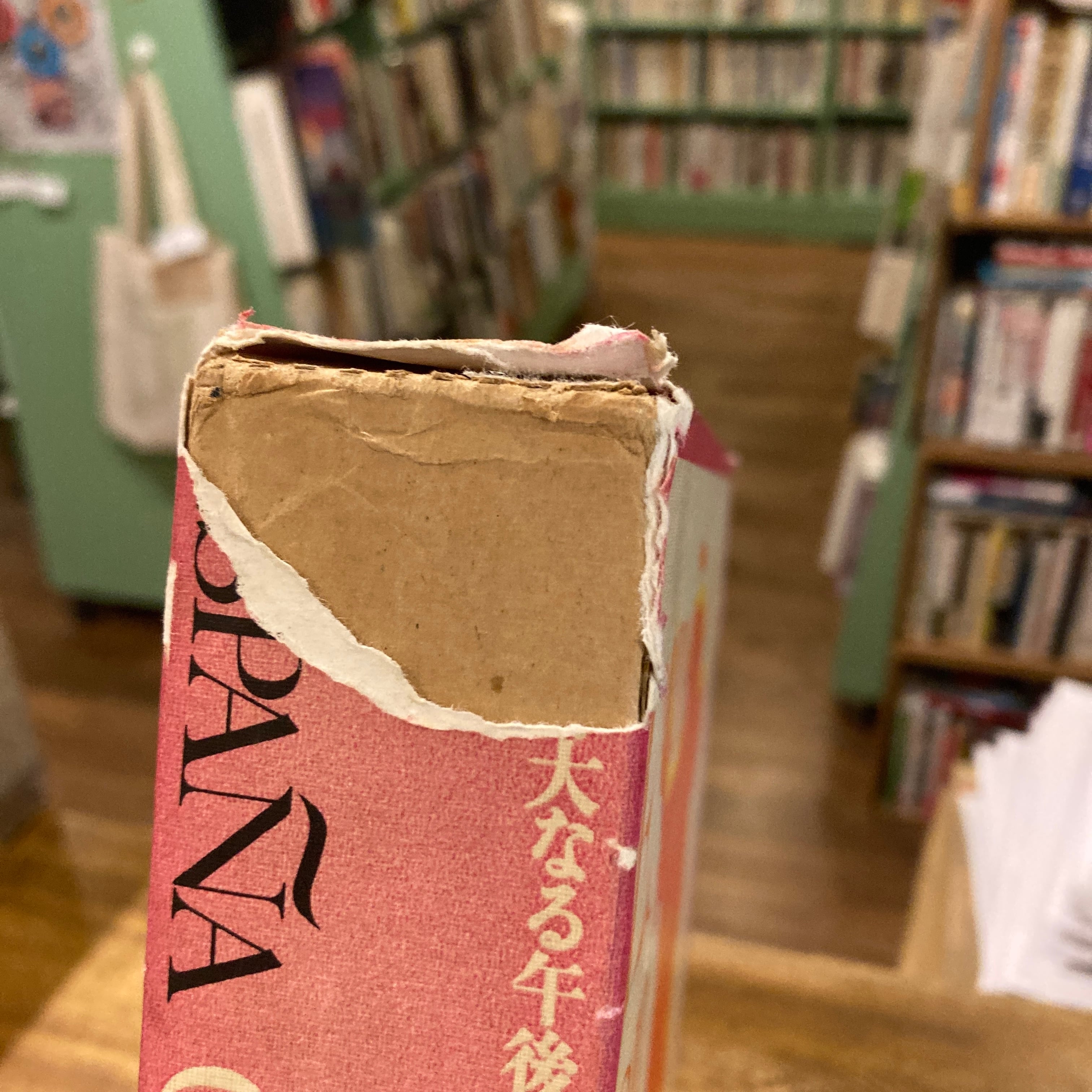 スペイン 偉大なる午後 / 奈良原一高 | 百年