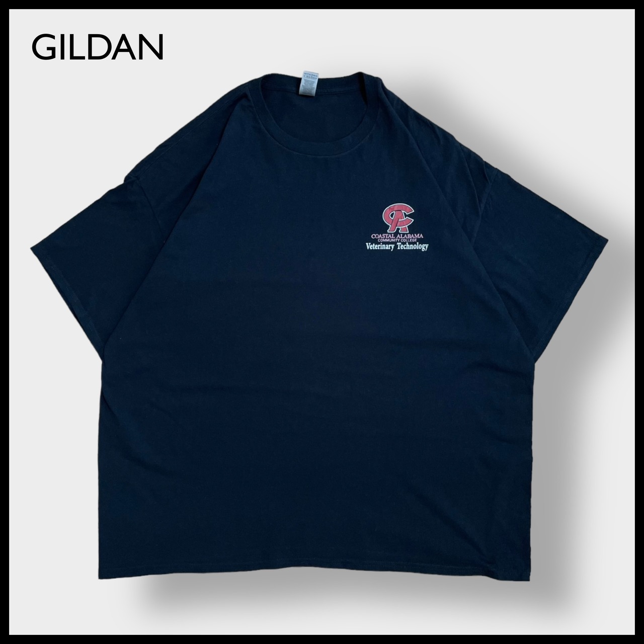 【GILDAN】3XL ビッグサイズ カレッジロゴ プリント Tシャツ COASTAL ALABAMA COMMUNITY COLLEGE ワンポイントロゴ バックプリント 半袖 黒 US古着