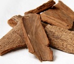 鹿児島シナモンのバレンタイン