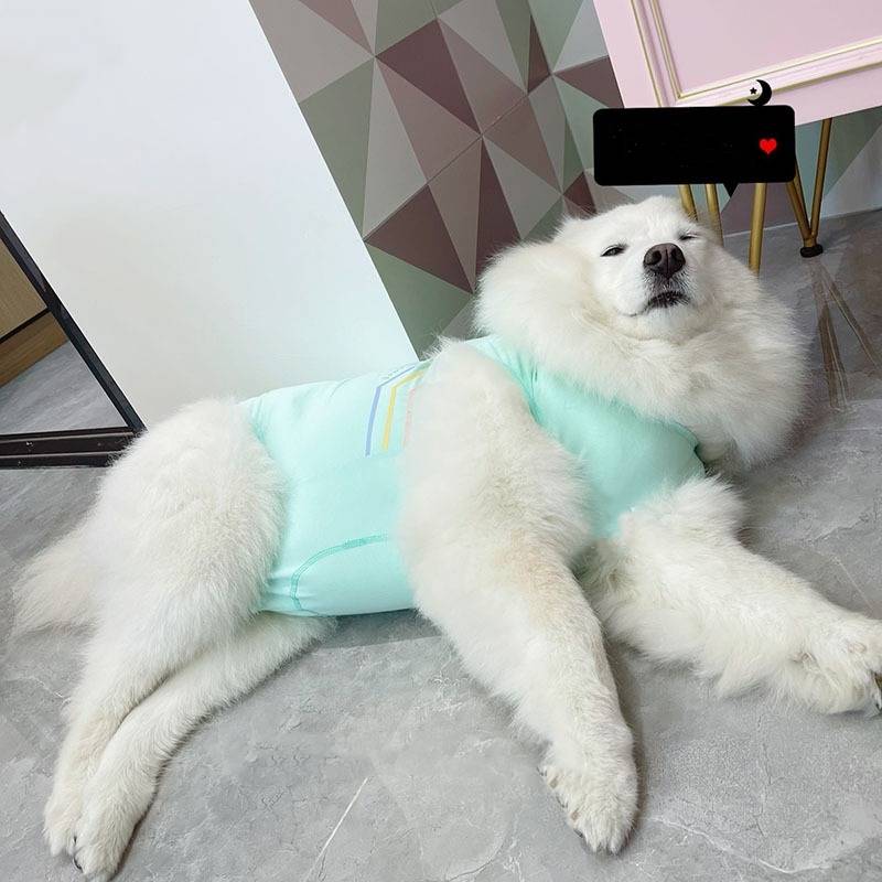 受注生産 3XL~6XL 涼しげ素材の虹柄ワンポイント夏服