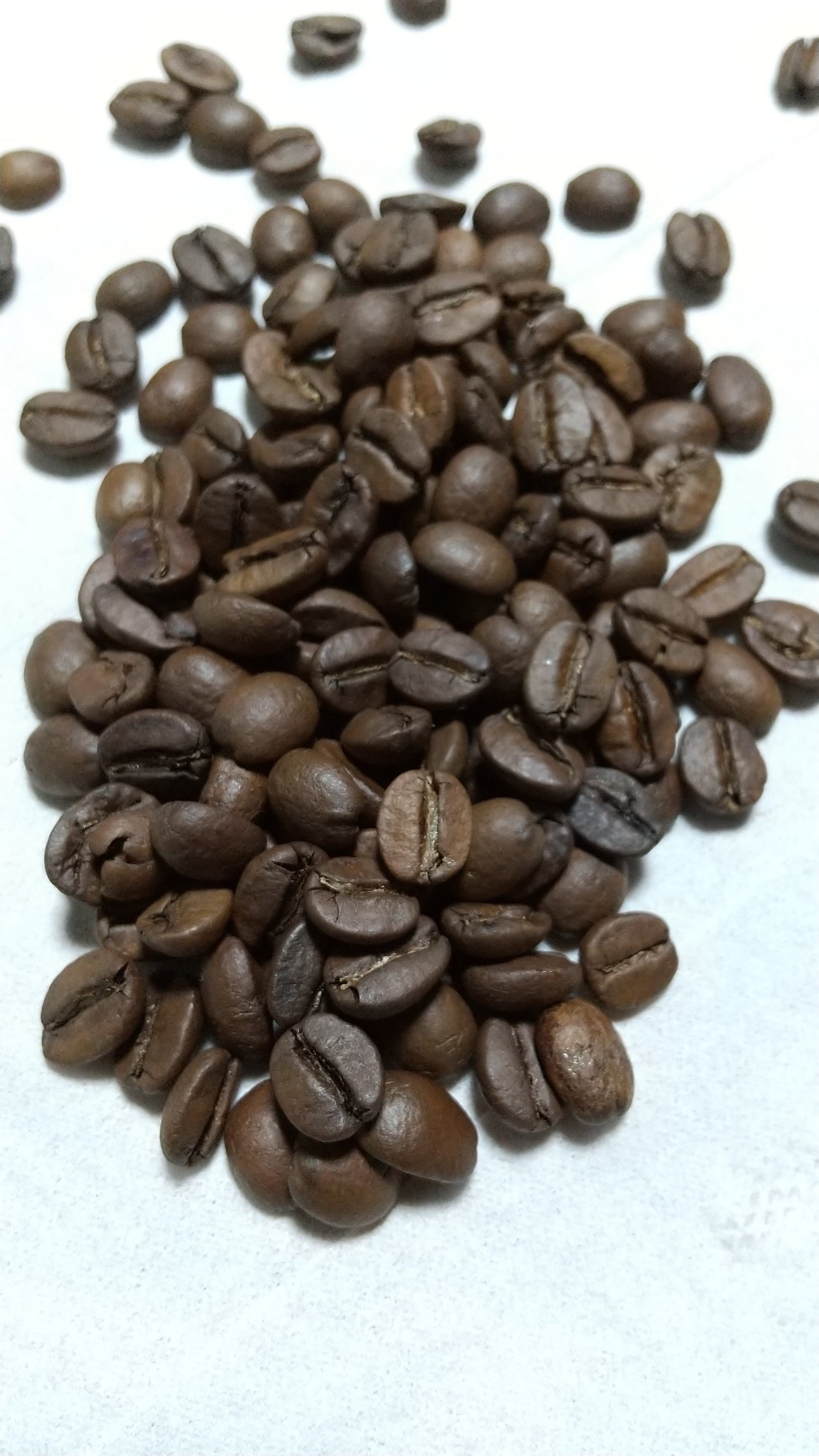 200g ブラジルサントス 自家焙煎 (約20杯分) | Quiet Waters