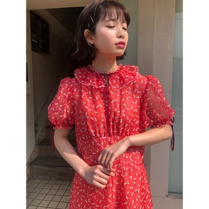 sheer　long one-piece