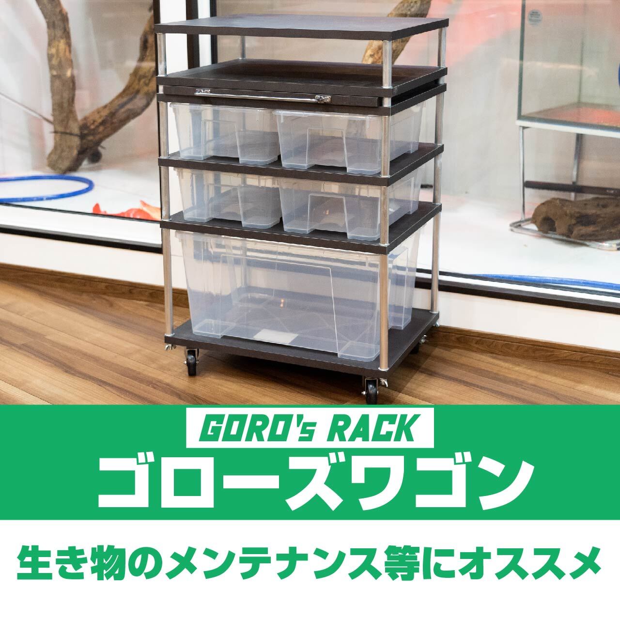 【らんま】ゴローズラック 爬虫類飼育 ラック 棚 可動棚付き らんま様専用】ゴローズラック 爬虫類飼育 ラック 棚 可動棚付き
