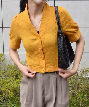 楊柳Vネックブラウス