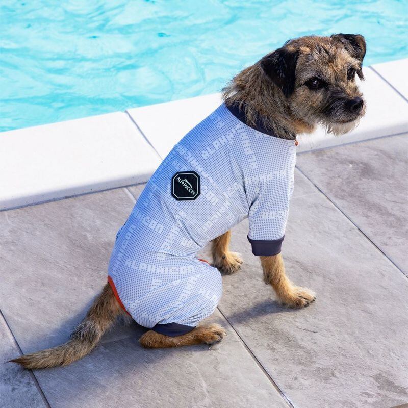 アルファアイコン スノードッグガード ハンター LL LL】 FULL DOG