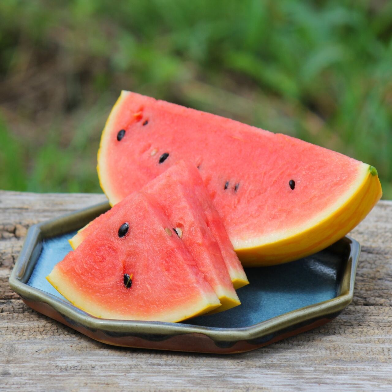 黄と緑のカラフルセット！】きずなの「とわ☆ゴールド(2L)」＆「あきた