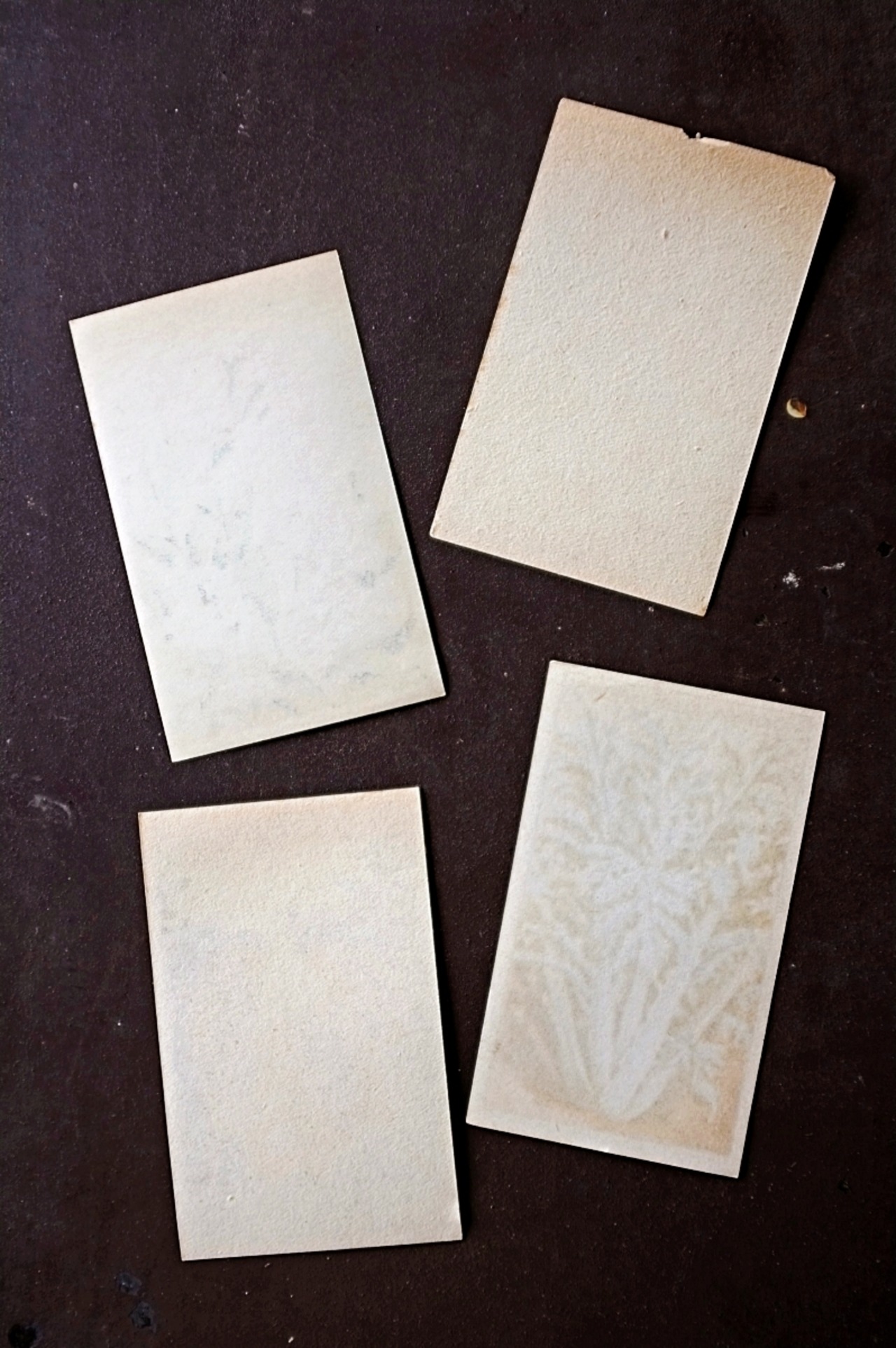 20s フランス 4set 膨満な花々と野菜たち 種子袋用ラベルo アンティーク