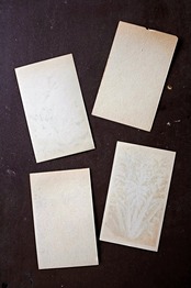 20s フランス 4set 膨満な花々と野菜たち 種子袋用ラベルo アンティーク