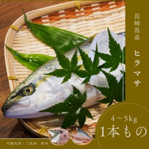 【お歳暮ギフト2025】長崎県産ヒラス/ 4～5㎏
