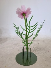 オーガンジー　ジャイアントフラワー　コスモス30cm　ピンク・ホワイト・グラデーションレッド