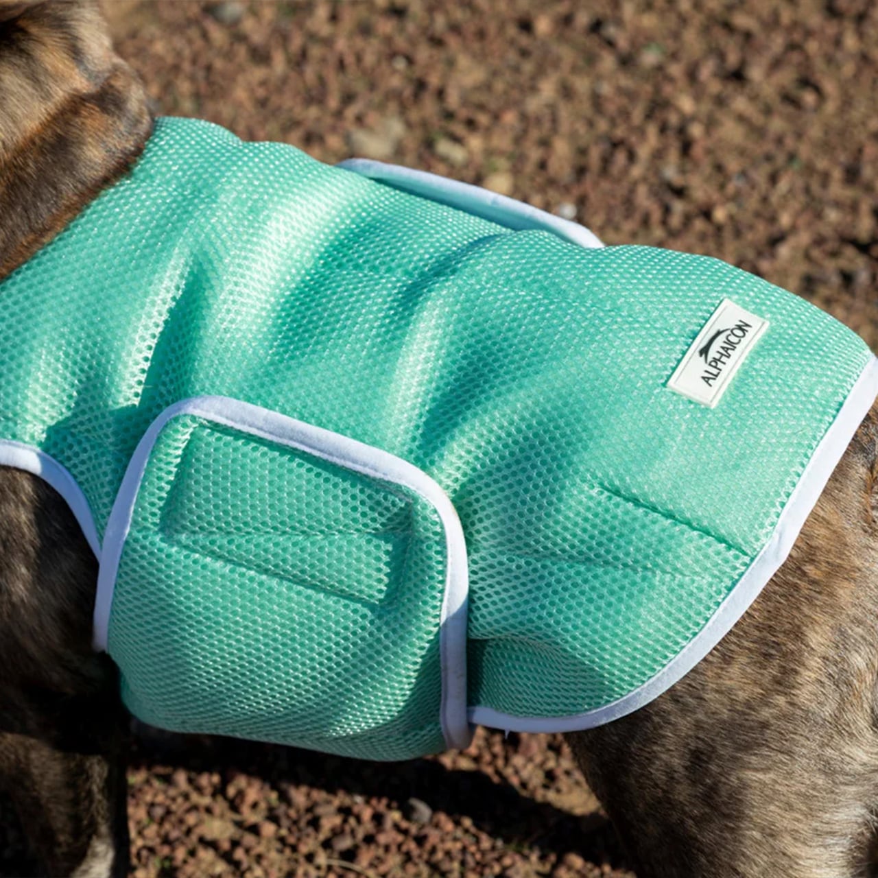 ALPHAICON [アルファアイコン] SUPER COOLING VEST [26SCV] スーパー