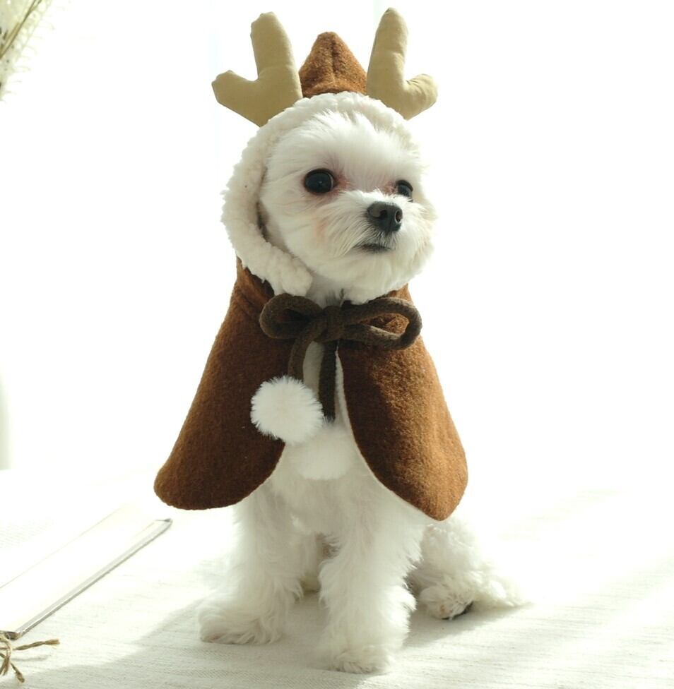 S.L/即納【cocochien】Rudolf Poncho《Brown》