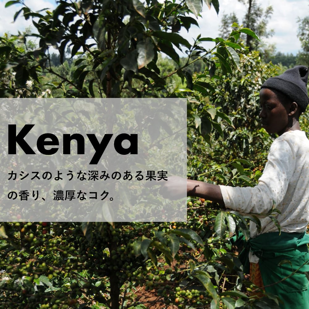 ケニア「カンゴチョ・ファクトリー」深煎り 200g