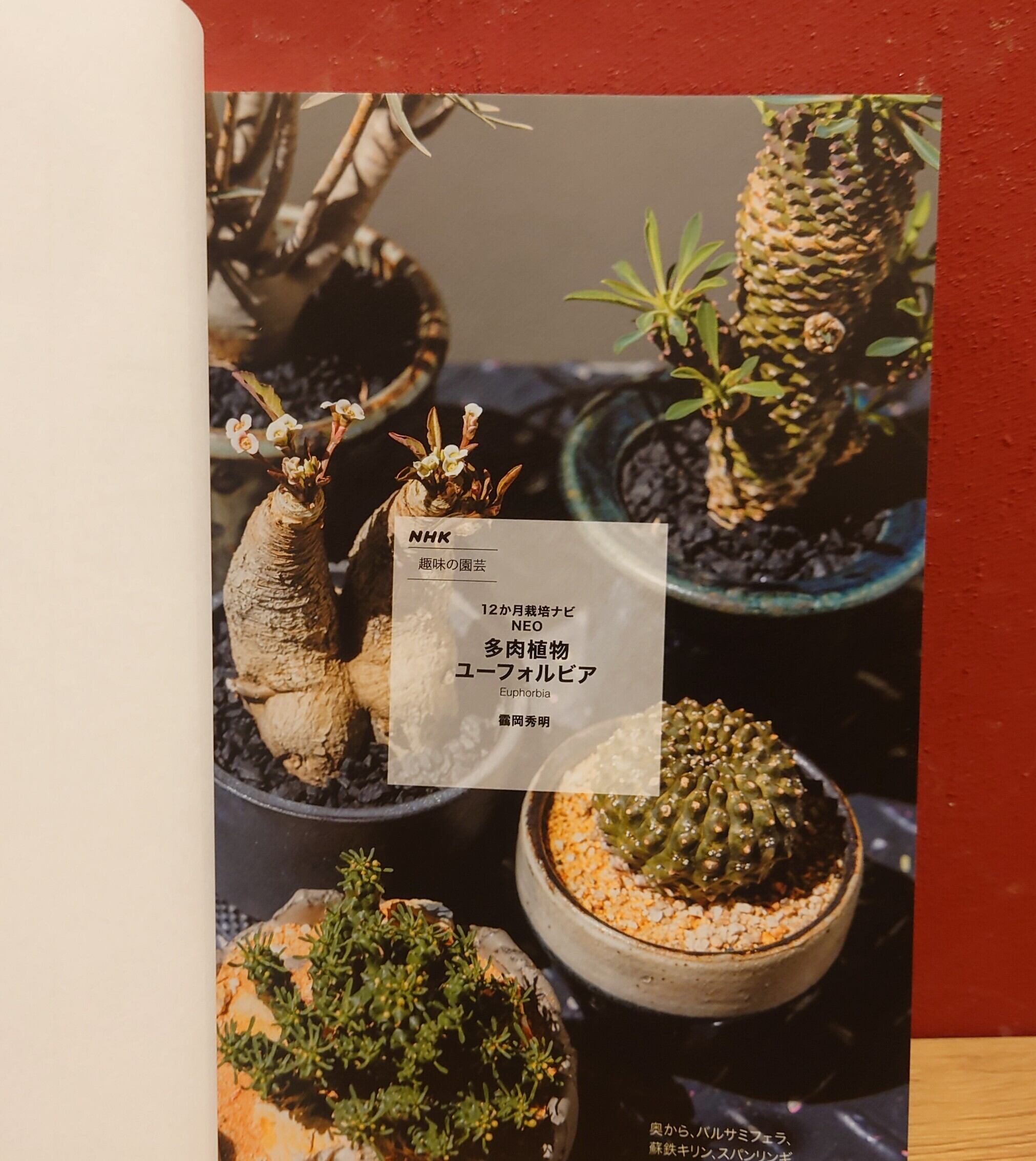 植物育成ライト LED 60W パネル放熱効率UP/ IP65防水温白色 256LED