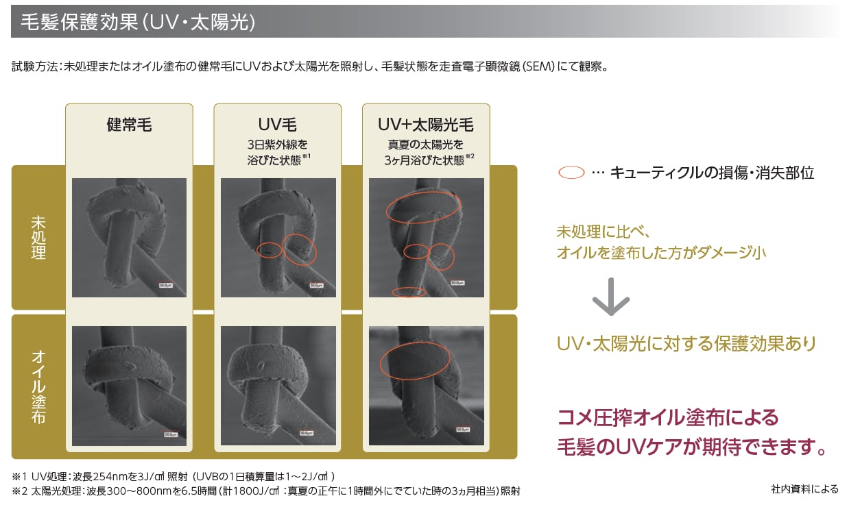 純国産プレミアムライスブランオイル　100㎖