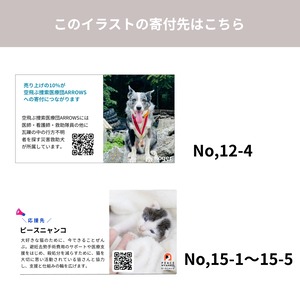 【みんなでつくるKIFU TEA#03】緑茶／Japanese Green Tea  3