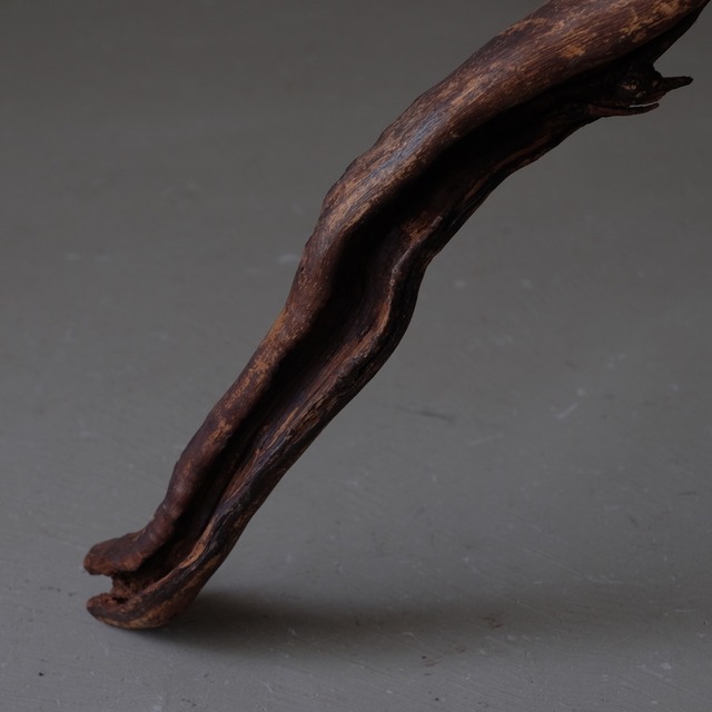 Branch