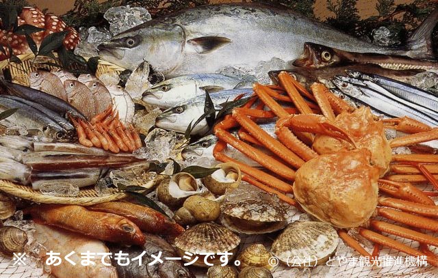 【送料無料】季節のお魚干物セット