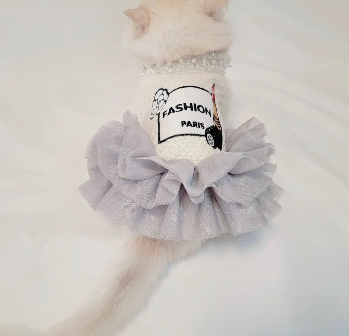 パリジェンヌワンピース 435 Candydogg