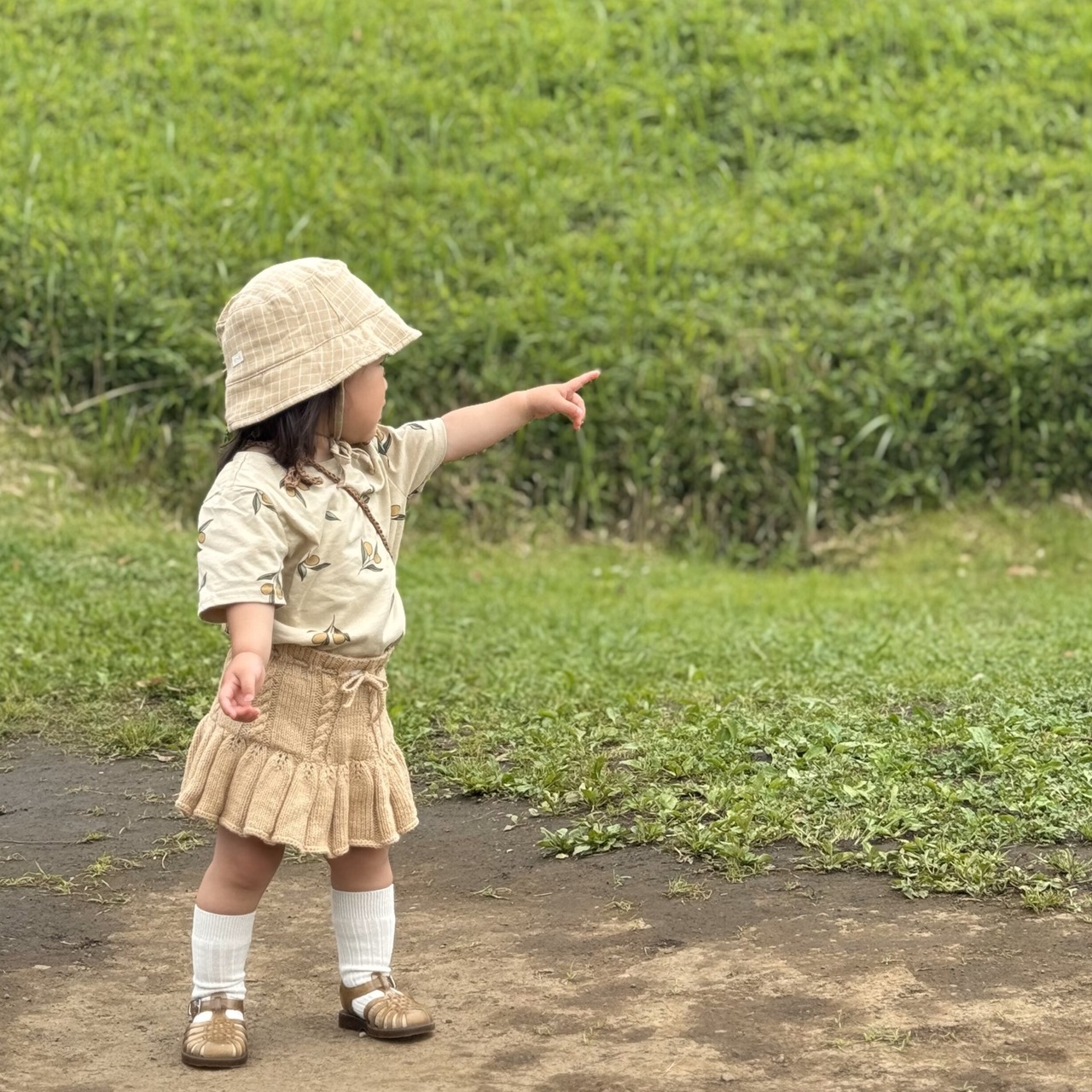 【即納】ORGANIC ZOO / OLIVE GARDEN CLASSIC T-SHIRT