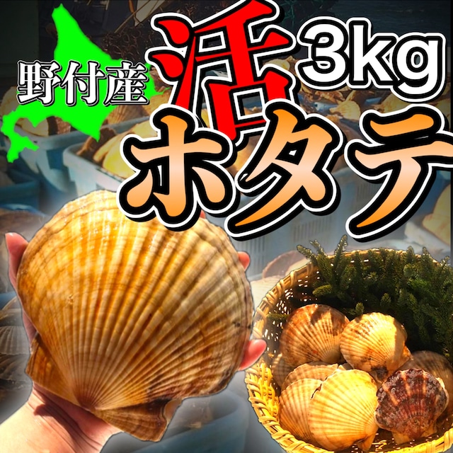 北海道羅臼産 干物真ホッケ　一夜干し【特大】  (冷凍)　450g前後