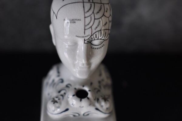 Phrenology Head