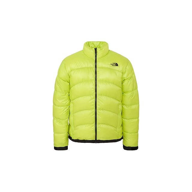 名作 Patagonia ダスパーカー ゲッコーグリーン S パタゴニア DAS