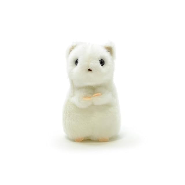 キスマイ ぬいぐるみ 衣装 | PAY ID