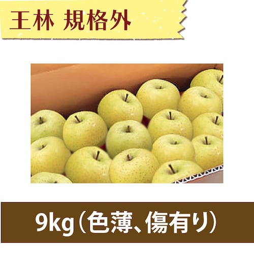 【りんご】王林 9kg【規格外品】