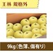 【りんご】王林 9kg【規格外品】