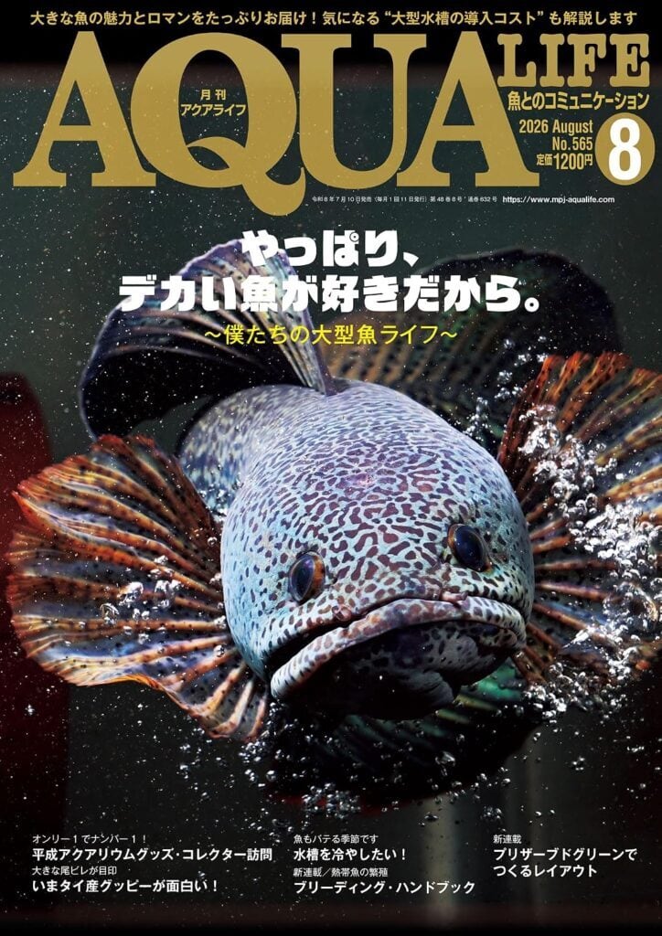 専門店が教える ベタの飼い方 飼育の基本から多彩な品種までよくわかる