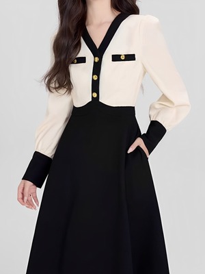 gold button bicolor a line dress.3203