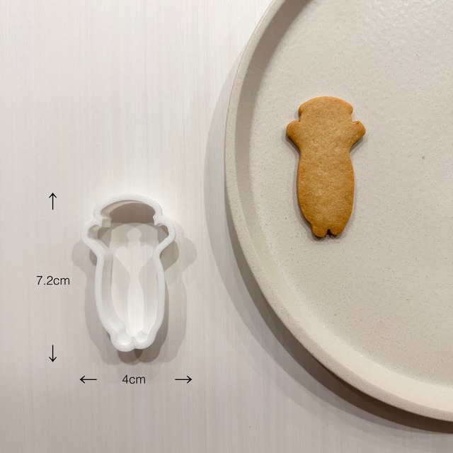 耳垂れ猫ちゃん