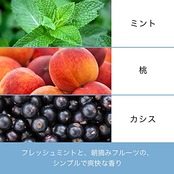 パンテーン ミセラー トリートメント ピュア&クレンズ 詰め替え ブルー 350グラム