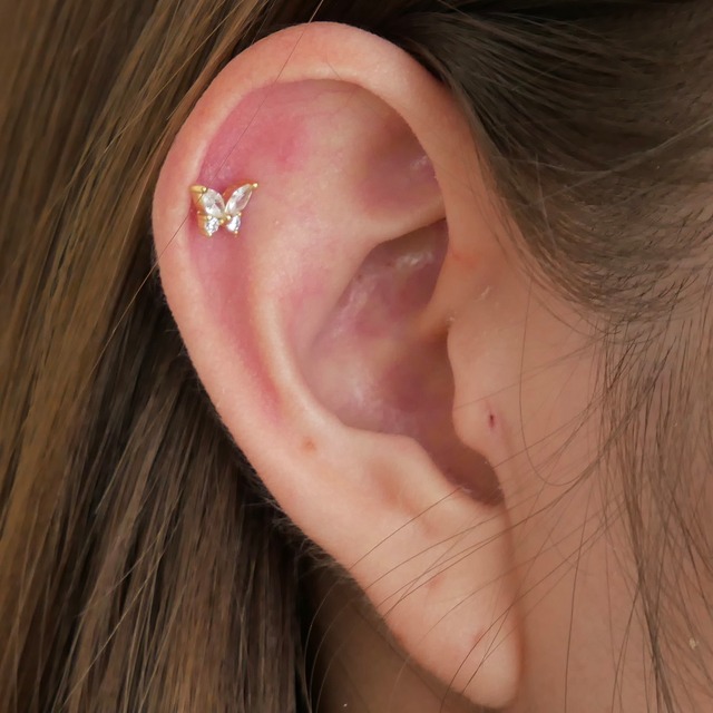 butterfly dia pierce