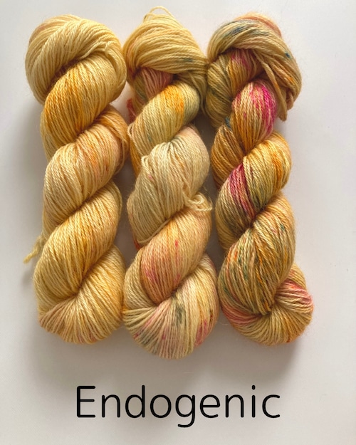Endogenic / 100% GOTS Certified Wool