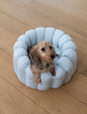 予約【azalea】New Stripe Canelé Cushion (Blue)