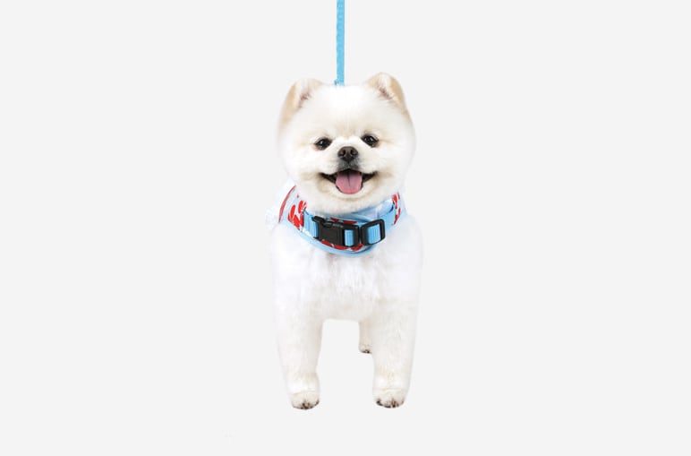 花柄ハーネス&リードセット S ~ L  2color   /   犬 犬用 ハーネス 小型犬 中型犬 ドッグウェア ペット用品 胴輪　ha1