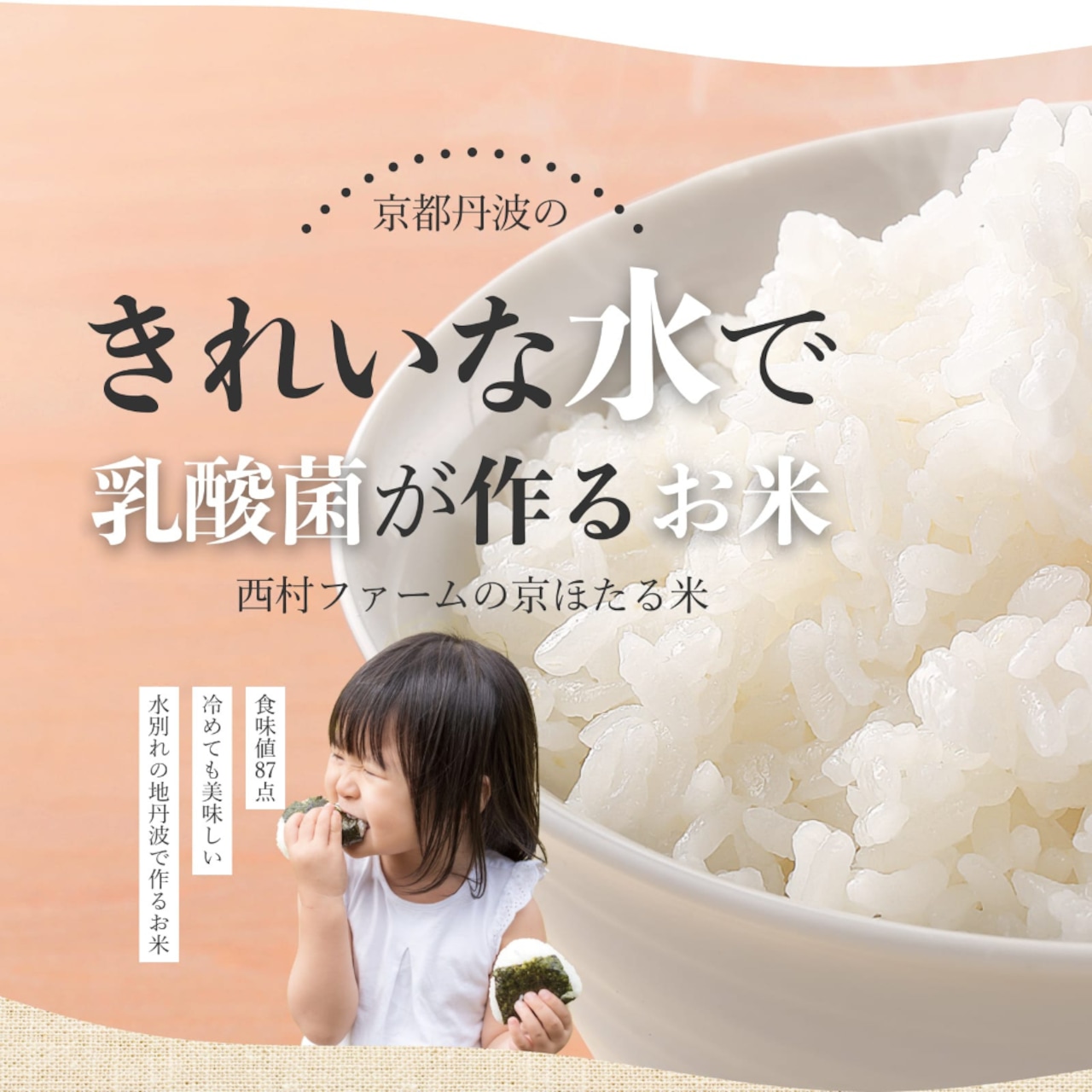 ※業販価格※丹波産コシヒカリ 25kg 令和7年産 京都のおいしいお米コンテスト受賞米「西村ファームの京ほたる米」