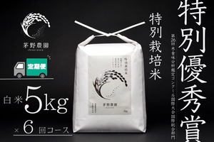 【 一括支払で送料がお得】【定期便 5kg×1袋 6回コース】茅野農園 特別栽培米 コシヒカリ 5kg 減農薬 化学肥料(窒素成分)不使用 【10/18まで限定商品】