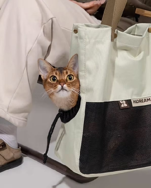 キャット 猫 ドッグ 犬 キャリー バスケット ポータブルペットバック