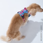 ※予約【puppygallery公式】 Go mentum harness S-M