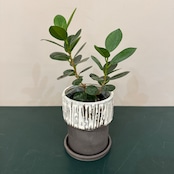 ベイト トール 11.5cm
