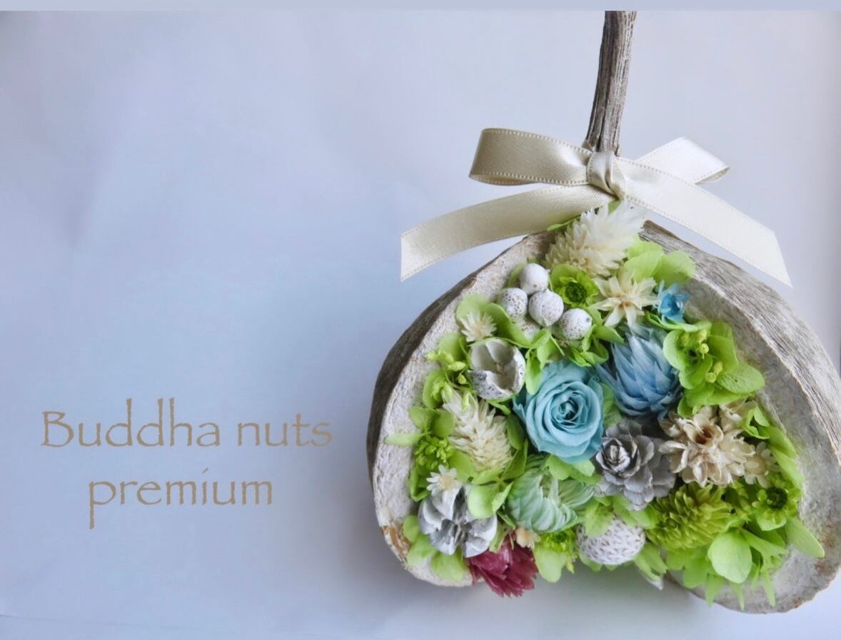 送料450円〜【ブッダナッツ アレンジ ミモザ】幸せの実 ギフト | RIMOKA
