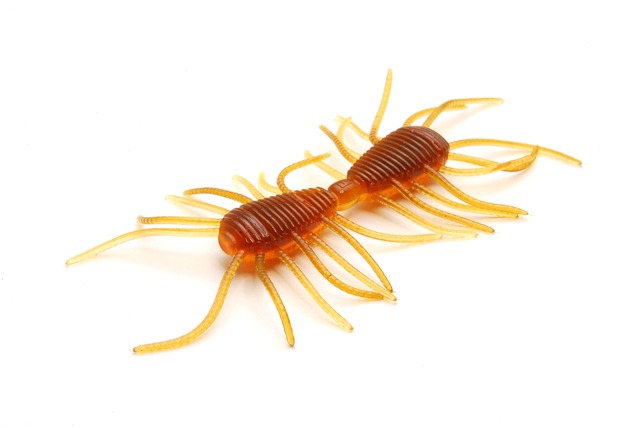 RAID JAPAN MICRO 2WAY