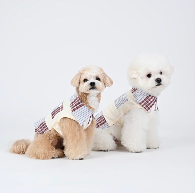 足を通さない襟付きシャツ ‐ (CREAM)