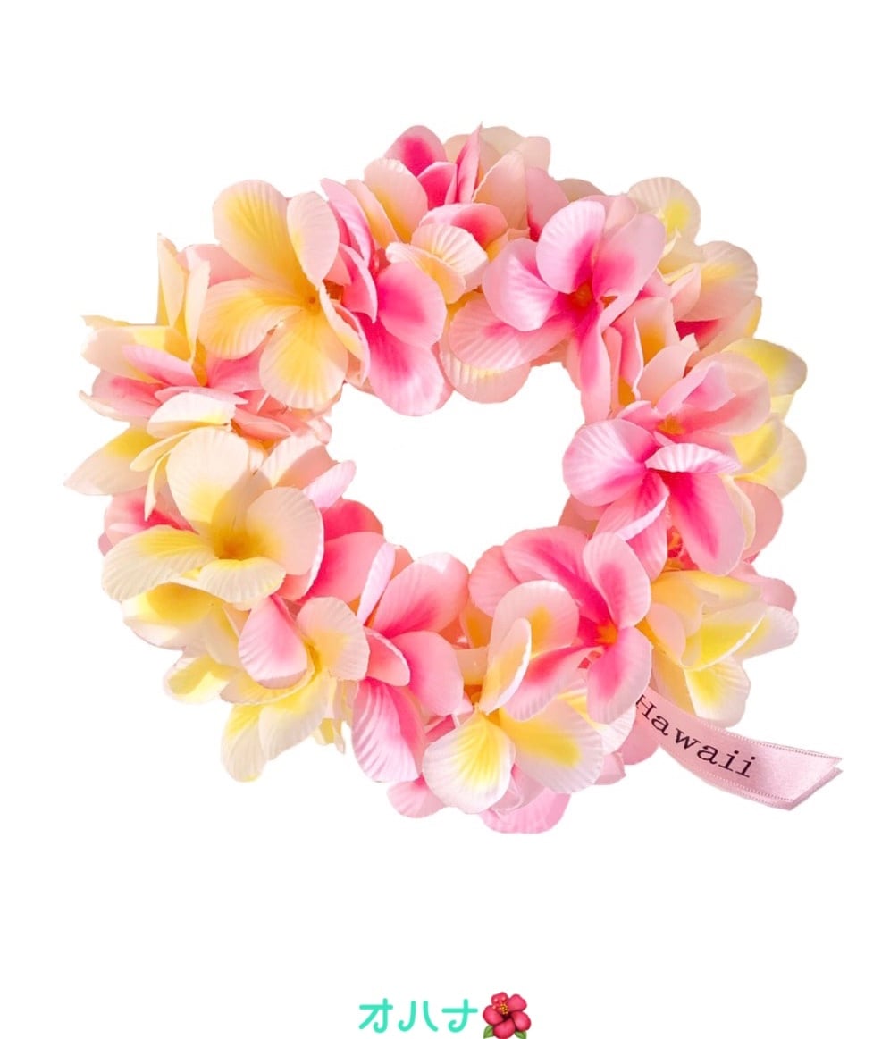 大型犬猫L オハナ